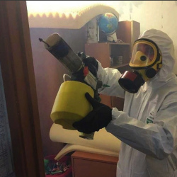 Уничтожение клопов в квартире. Лосиноостровский район