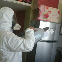 Уничтожение насекомых в квартире. Лосиноостровский район